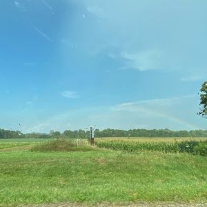 Meet your Posher, Mardy